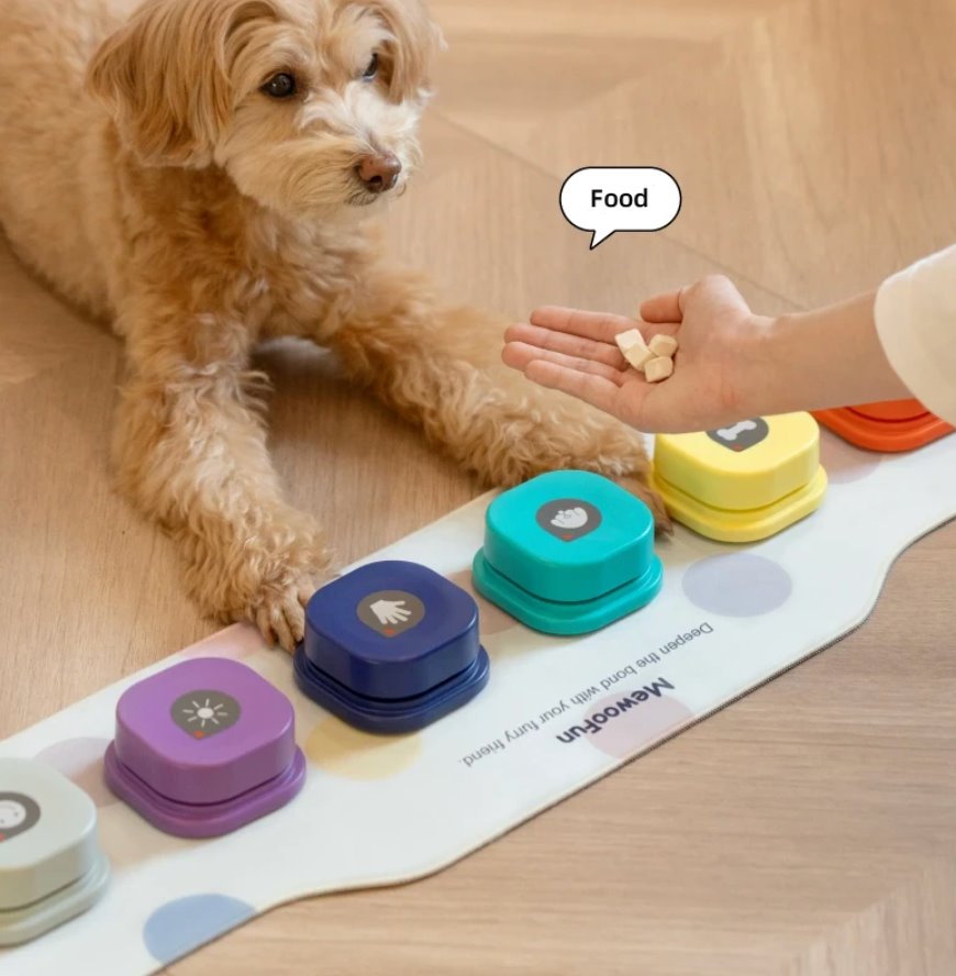 How to Teach Your Dog to Talk Using Buttons
