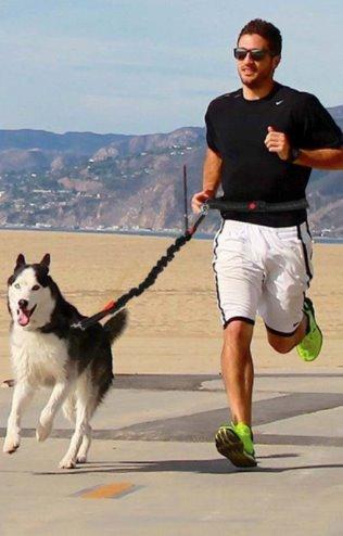 Handsfree Running Bungee Dog Leash Pet Leashes BestPet