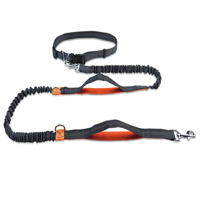 Handsfree Running Bungee Dog Leash Pet Leashes BestPet Orange