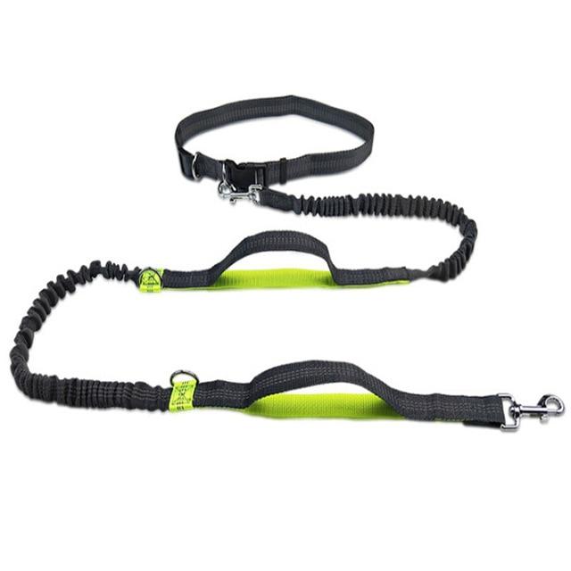 Handsfree Running Bungee Dog Leash Pet Leashes BestPet Yellow