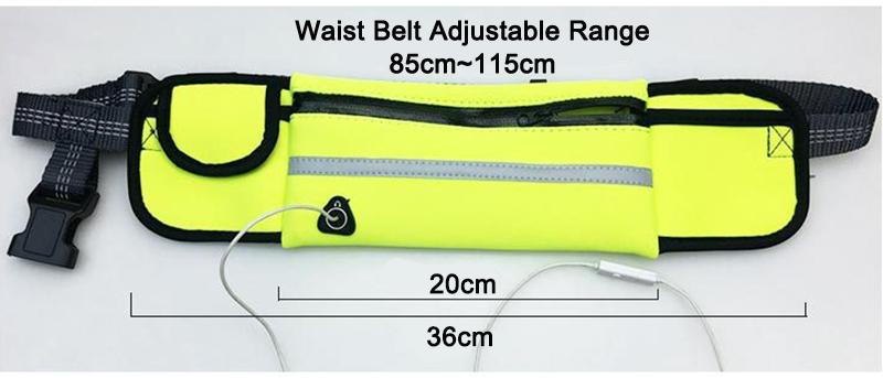 Handsfree Running Bungee Dog Leash With Pouch Pet Leashes BestPet