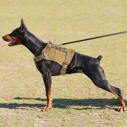 Military Style Dog Harness Pet Collars & Harnesses BestPet 