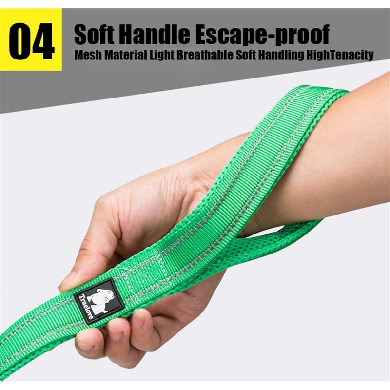 Reflective Heavy Duty Dog Leash Pet Leashes BestPet