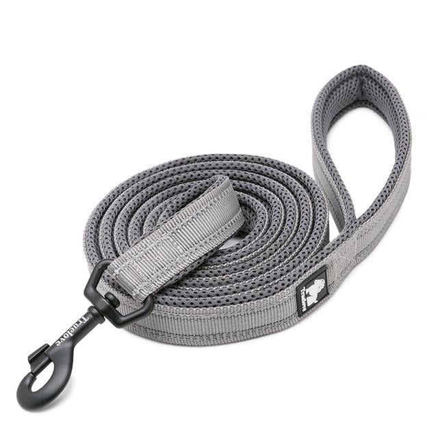 Reflective Heavy Duty Dog Leash Pet Leashes BestPet Grey XS 1.0cmX200cm