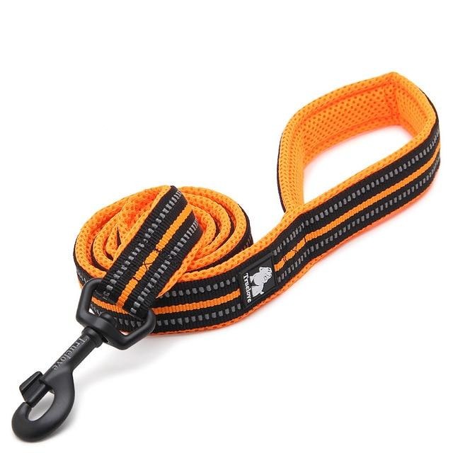 Reflective Heavy Duty Dog Leash Pet Leashes BestPet Orange XS 1.0cmX200cm