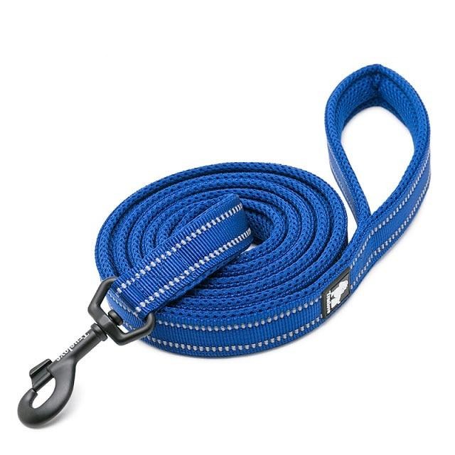 Reflective Heavy Duty Dog Leash Pet Leashes BestPet Royal Blue XS 1.0cmX200cm