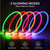 Adjustable LED Pet Collar Pet Collars & Harnesses BestPet 