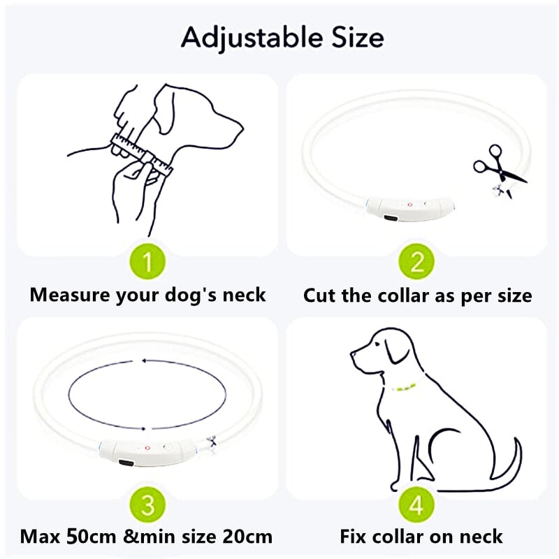 Adjustable LED Pet Collar Pet Collars &amp; Harnesses BestPet 