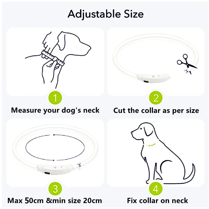 Adjustable LED Pet Collar Pet Collars & Harnesses BestPet 