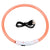 Adjustable LED Pet Collar Pet Collars & Harnesses BestPet Orange 