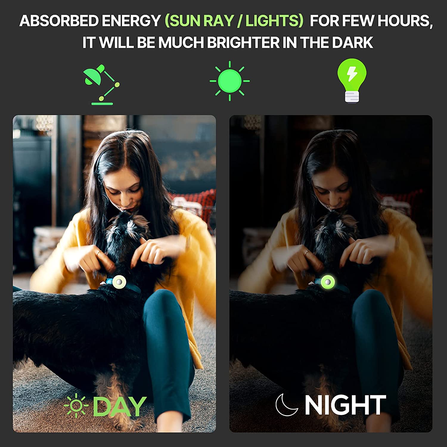 AirTag Pet Collar Silicone Protective Case ID Tags BestPet 