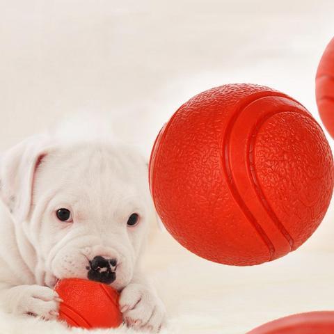 Bite Resistant Rubber Dog Ball Dog Toys BestPet 