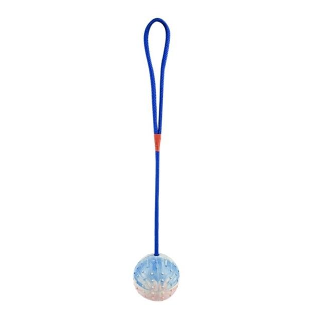 Bite Resistant Rubber Dog Ball on a Rope Dog Toys BestPet Blue 