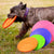 Bite Resistant Silicone Dog Frisbee Dog Toys BestPet 