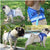 Cat Harness and Leash 7 Colours! Pet Collars & Harnesses BestPet 