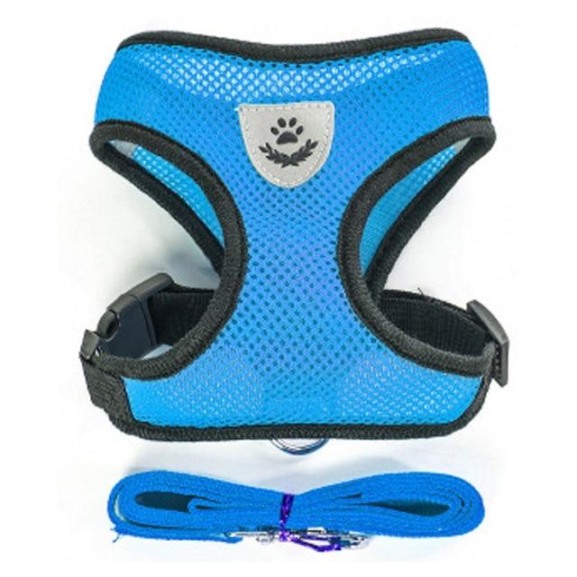 Cat Harness and Leash 7 Colours! Pet Collars &amp; Harnesses BestPet Blue Small 