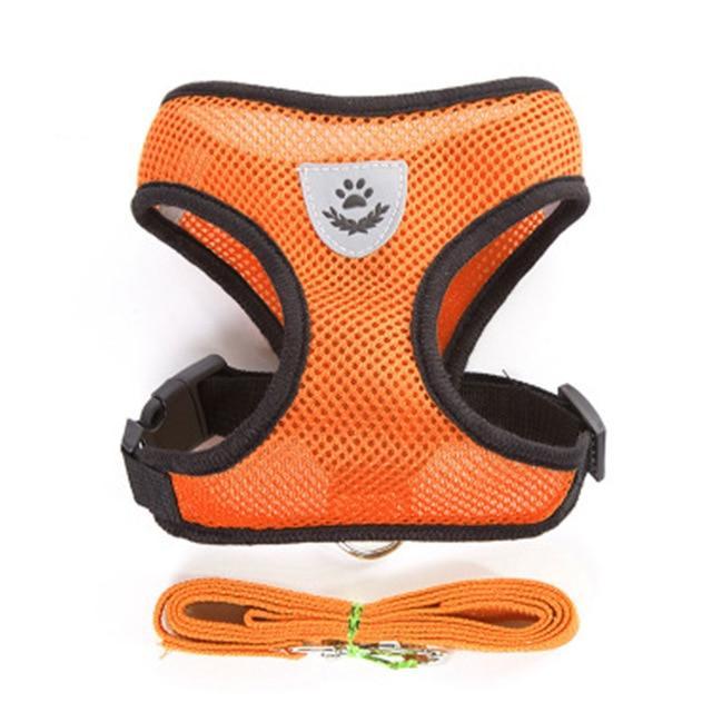Cat Harness and Leash 7 Colours! Pet Collars &amp; Harnesses BestPet Orange Small 