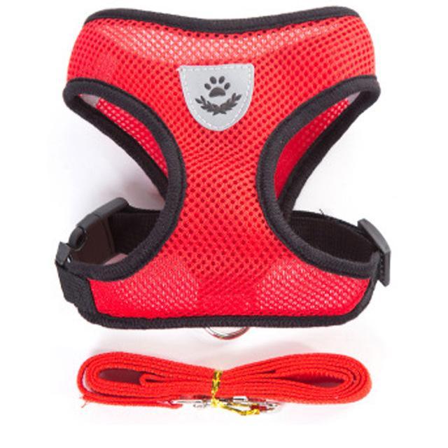 Cat Harness and Leash 7 Colours! Pet Collars &amp; Harnesses BestPet Red Small 