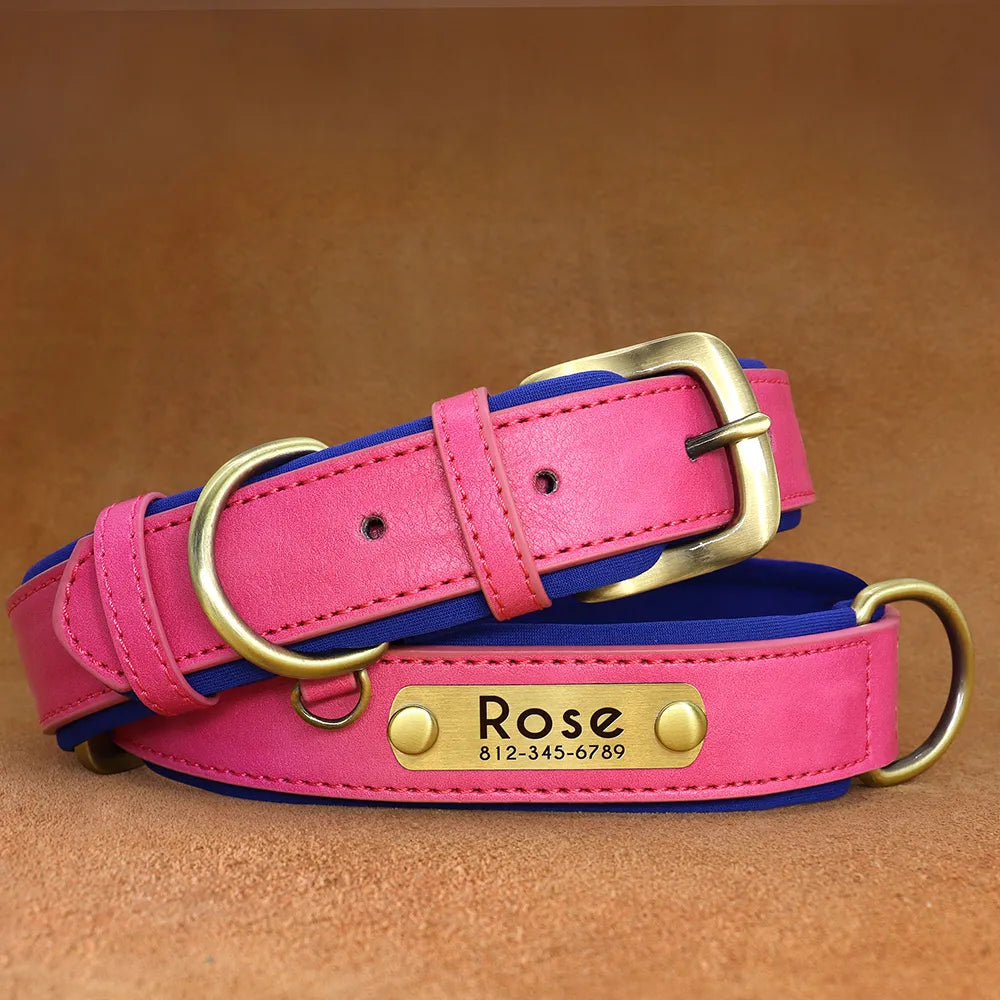 Customized Leather ID Nameplate Dog Collar Soft Padded Dogs Collars Free Engraving Name for Small Medium Large Dogs Adjustable David's Mall-Pet Products Supplier 