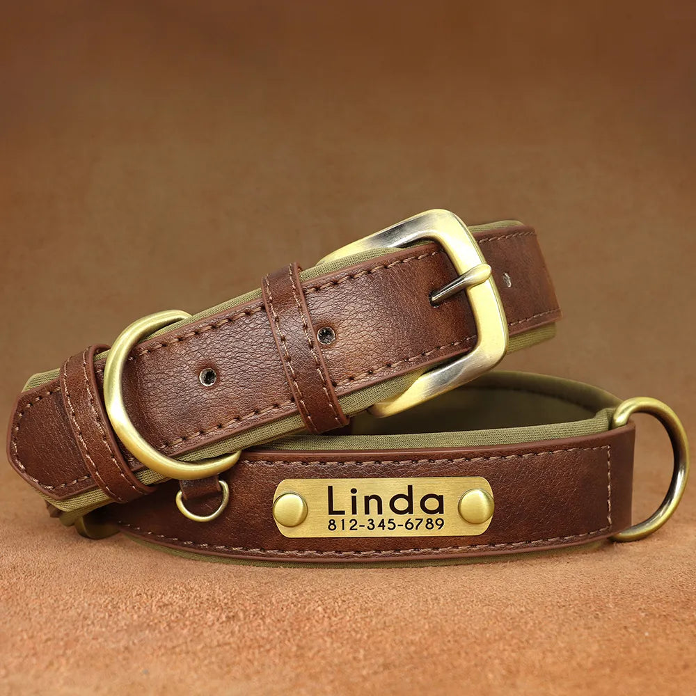 Customized Leather ID Nameplate Dog Collar Soft Padded Dogs Collars Free Engraving Name for Small Medium Large Dogs Adjustable David's Mall-Pet Products Supplier 