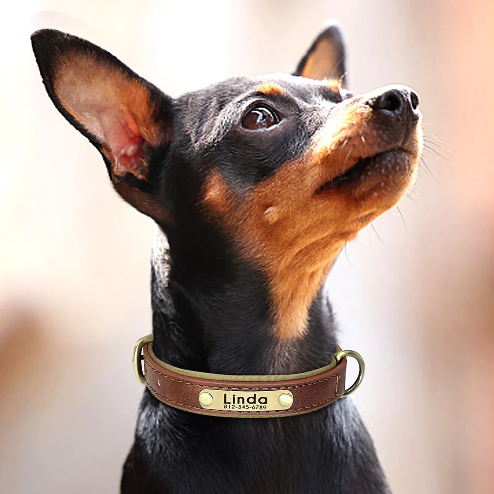 Customized Leather ID Nameplate Dog Collar Soft Padded Dogs Collars Free Engraving Name for Small Medium Large Dogs Adjustable David's Mall-Pet Products Supplier 