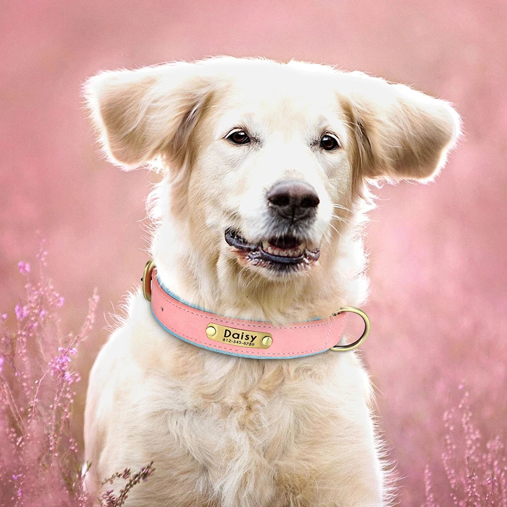Customized Leather ID Nameplate Dog Collar Soft Padded Dogs Collars Free Engraving Name for Small Medium Large Dogs Adjustable David&#39;s Mall-Pet Products Supplier 