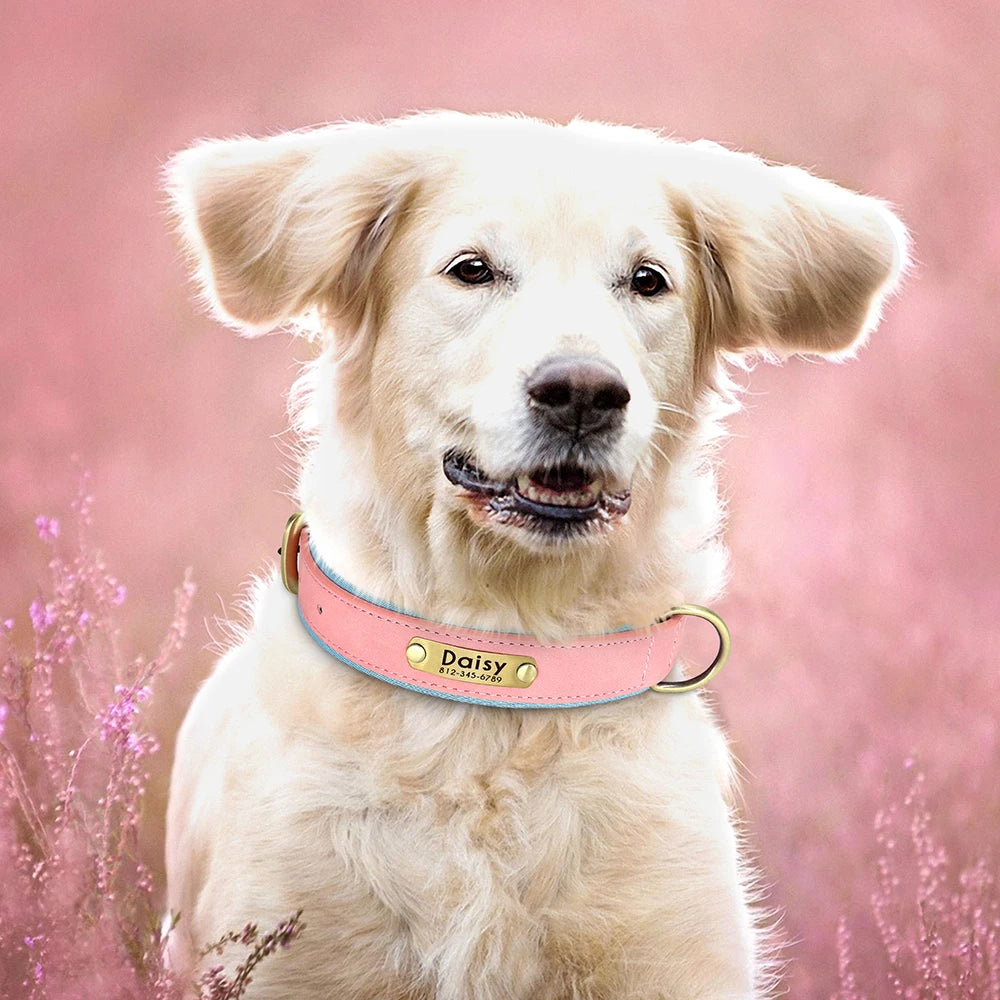Customized Leather ID Nameplate Dog Collar Soft Padded Dogs Collars Free Engraving Name for Small Medium Large Dogs Adjustable David's Mall-Pet Products Supplier 