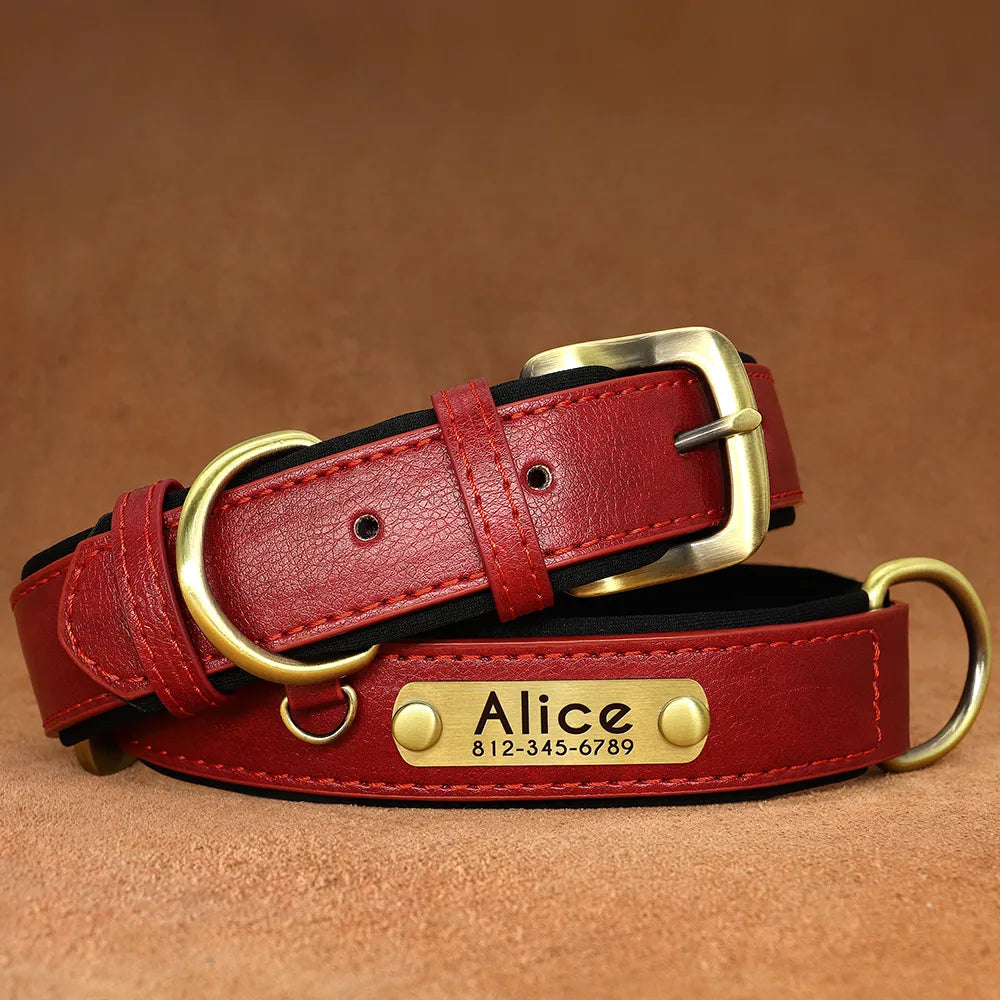 Customized Leather ID Nameplate Dog Collar Soft Padded Dogs Collars Free Engraving Name for Small Medium Large Dogs Adjustable David's Mall-Pet Products Supplier 