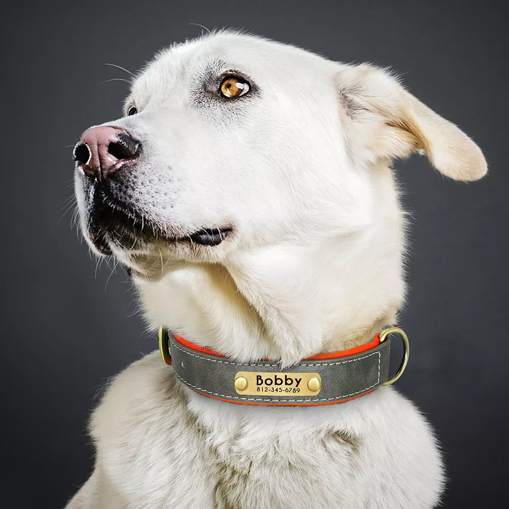 Customized Leather ID Nameplate Dog Collar Soft Padded Dogs Collars Free Engraving Name for Small Medium Large Dogs Adjustable David's Mall-Pet Products Supplier 