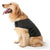 Dog Anxiety Busting Jacket dog apparel BestPet 