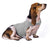 Dog Anxiety Busting Jacket dog apparel BestPet 