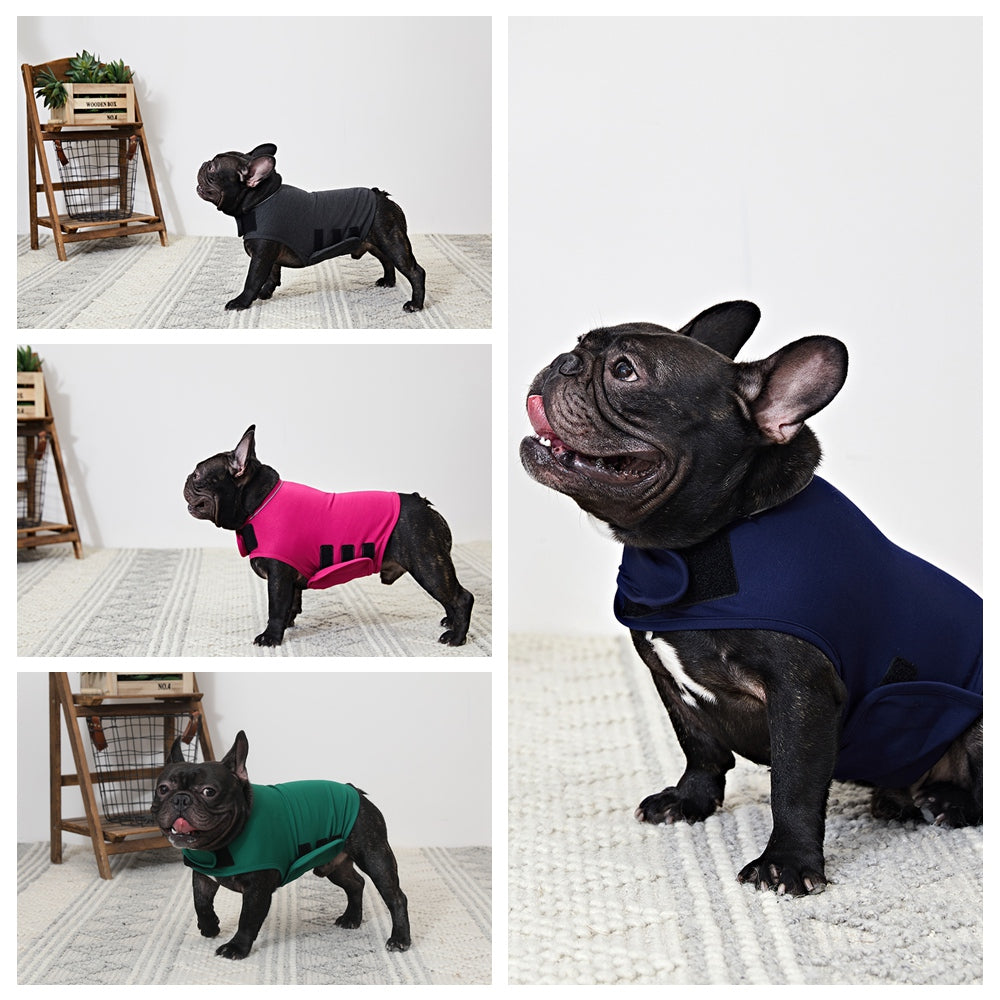 Dog Anxiety Busting Jacket dog apparel BestPet 