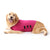 Dog Anxiety Busting Jacket dog apparel BestPet 