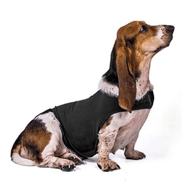 Dog Anxiety Busting Jacket dog apparel BestPet 