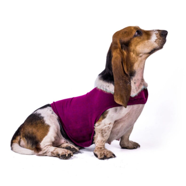 Dog Anxiety Busting Jacket dog apparel BestPet 