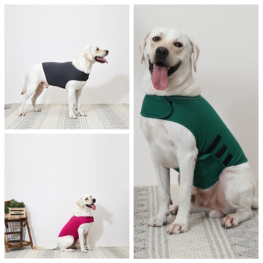 Dog Anxiety Busting Jacket dog apparel BestPet 