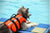 Dog Life Jacket Floatation Device Pet Collars & Harnesses BestPet 