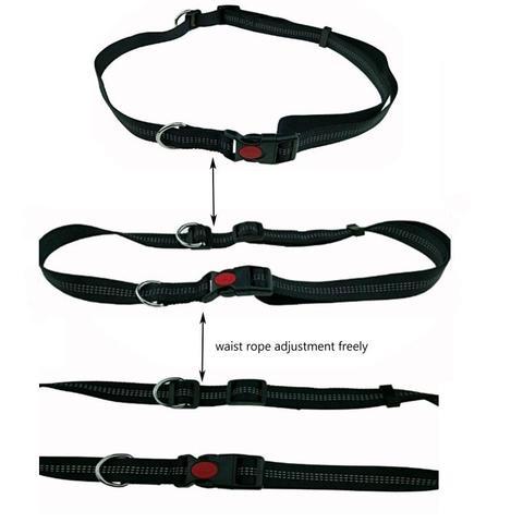 Handsfree Running Bungee Dog Leash Pet Leashes BestPet 