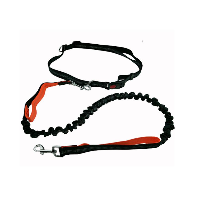 Handsfree Running Bungee Dog Leash Pet Leashes BestPet 