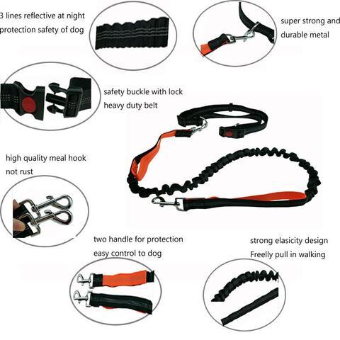 Handsfree Running Bungee Dog Leash Pet Leashes BestPet 