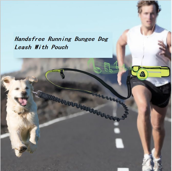 Handsfree Running Bungee Dog Leash With Pouch Pet Leashes BestPet 