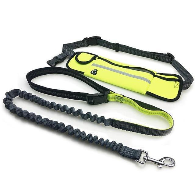 Handsfree Running Bungee Dog Leash With Pouch Pet Leashes BestPet Yellow 