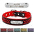 Leather Pet Collar With Personalised Engraved Nameplate Pet Collars & Harnesses BestPet Red X Small 