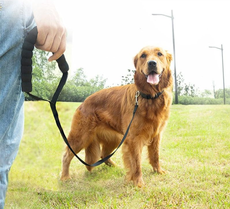 Long Nylon Dog Leash Up To 50m! Pet Leashes BestPet 
