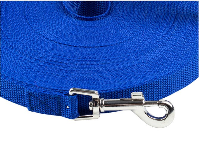 Long Nylon Dog Leash Up To 50m! Pet Leashes BestPet 