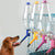 Pet Crate Automatic Water Bottle Pet Bowls, Feeders & Waterers BestPet 
