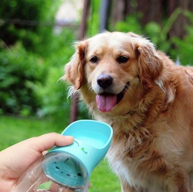 Portable Pet Water Bottle 3 Colours! Pet Bowls, Feeders & Waterers BestPet 