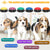 Recordable Dog Training Buttons Dog Toys Best Pet 