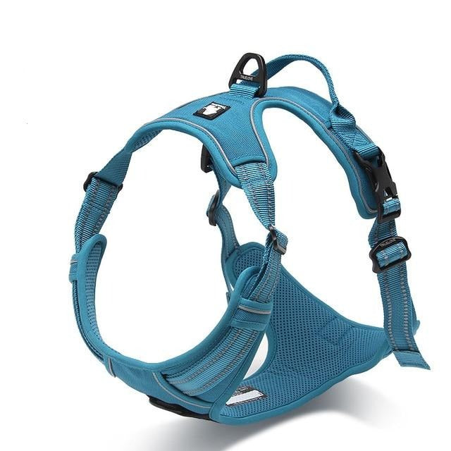 Reflective Dog Harness With Front and Back Clip Pet Collars & Harnesses BestPet Blue X Small 