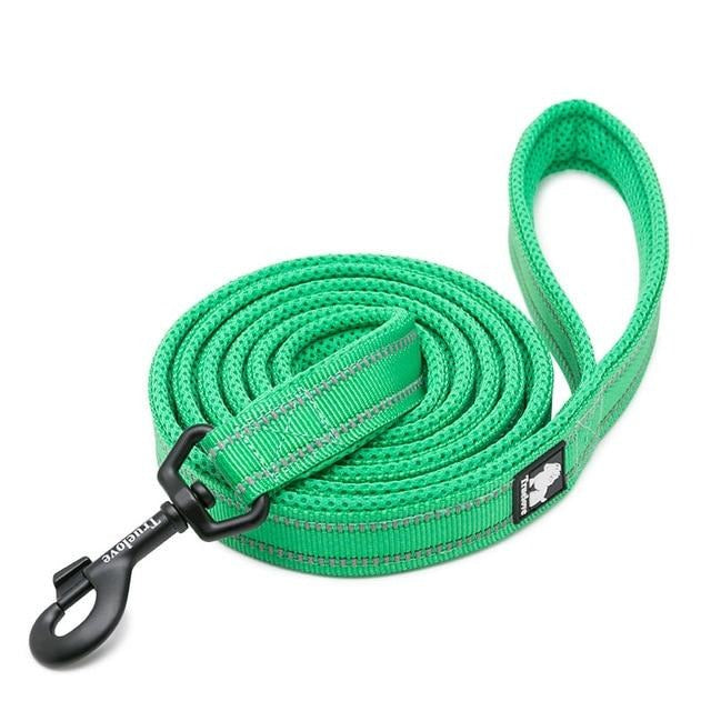 Reflective Heavy Duty Dog Leash Pet Leashes BestPet Green XS 1.0cmX200cm 